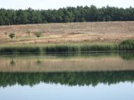 Андріївка з panoramio.com