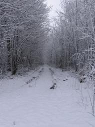 Іволжанське з panoramio.com