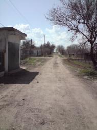 Чайкине з panoramio.com