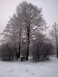 Кам'янка з panoramio.com