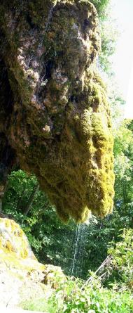 Петрів з panoramio.com