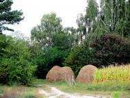 Старосілля з panoramio.com