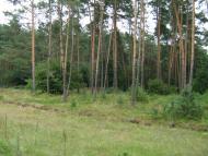 Річки з panoramio.com