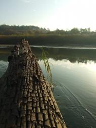 Заріччя з panoramio.com