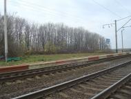 Лозова з panoramio.com