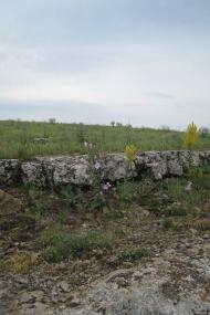 Стила з panoramio.com