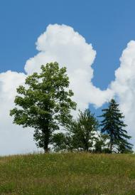 Сергії з panoramio.com