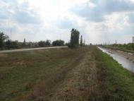 Баратівка з panoramio.com