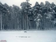 Карасиха з panoramio.com