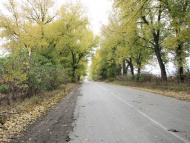 Цибулівка з panoramio.com