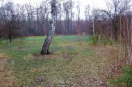 Метьолкіне з panoramio.com