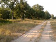 Бурківка з panoramio.com