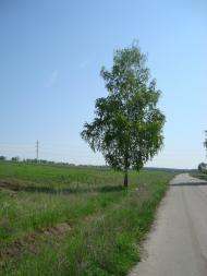 Бобрівка з panoramio.com - Бобрівка