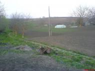 Вітрянка з panoramio.com