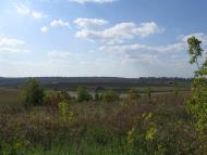 Лугове з panoramio.com