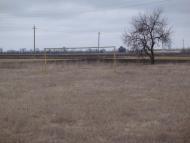 Очеретувате з panoramio.com