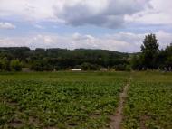 Осьмаки з panoramio.com