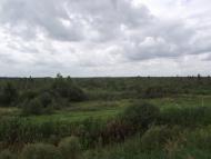 Космачів з panoramio.com