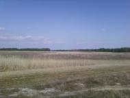 Підстепне з panoramio.com