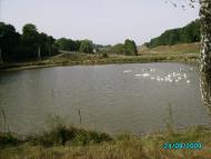 Терлівка з panoramio.com