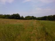 Осьмаки з panoramio.com