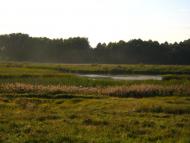 Кожанка з panoramio.com