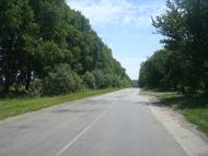 Баламутівка з panoramio.com