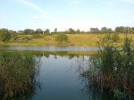 Раєво-Олександрівка з panoramio.com