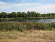 Сизе з panoramio.com