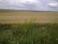 Юр'ївка з panoramio.com