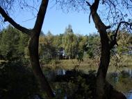 Городище з panoramio.com