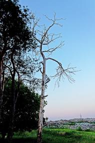 Первозванівка з panoramio.com