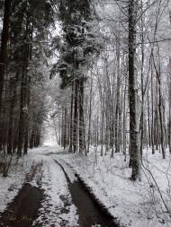 Руська Гута з panoramio.com