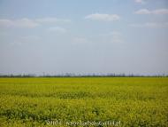 Вільна Україна з panoramio.com - Вільна Україна