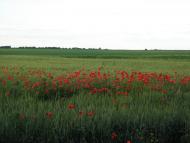 Половинники з panoramio.com