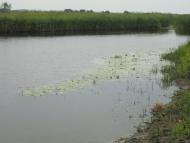 Черче - Останні фото