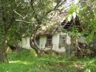 Кобринове з panoramio.com