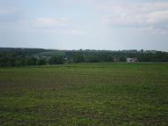 Хмелиська з panoramio.com