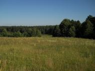 Струмок з panoramio.com