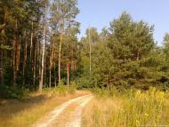 Черняхівка з panoramio.com