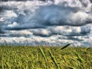 Устинкова Гребля з panoramio.com