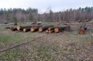 Метьолкіне з panoramio.com