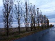 Велика Бакта - Останні фото