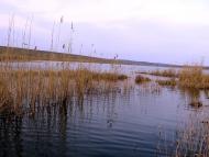 Слобода-Межирівська з panoramio.com