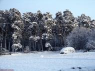 Карасиха з panoramio.com
