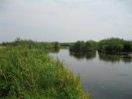 Черче - Останні фото