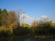 Снігурівка з panoramio.com