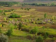 Бірки з panoramio.com