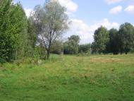 Ваганичі з panoramio.com