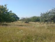 Перещепине з panoramio.com